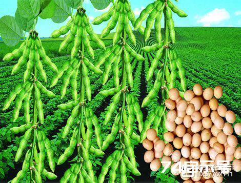 人过45岁，会出现断崖式衰老？做好4件事，人更健康，也更年轻