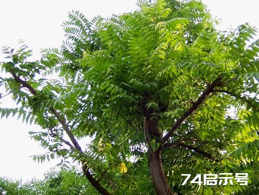 父亲节徜徉于诗海词洋边拾贝
