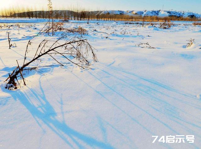 散文｜听雪