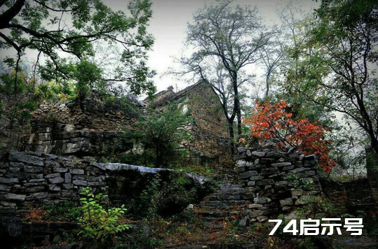 生命，一种阐述