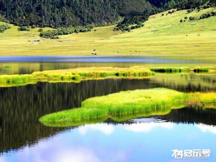 春节云南自驾路线推荐，一次看尽云南之美景