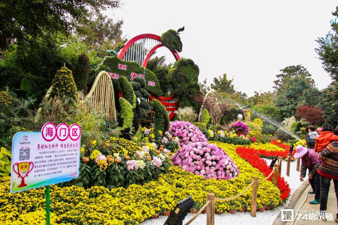 南通菊花展掠影（一）精美花坛展风采（2）