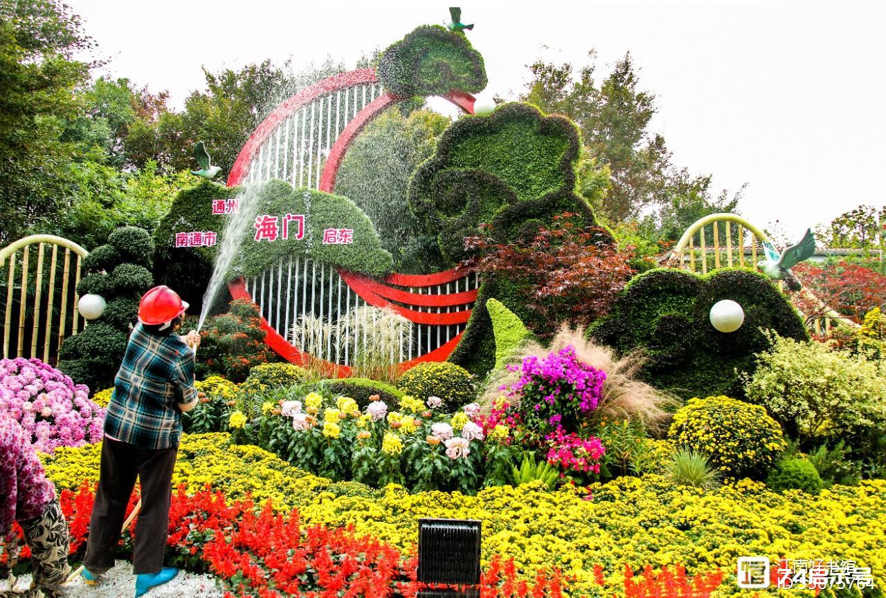 南通菊花展掠影（一）精美花坛展风采（2）