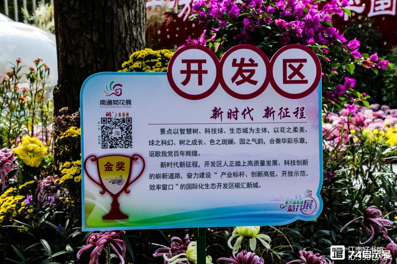 南通菊花展掠影（一）精美花坛展风采（2）