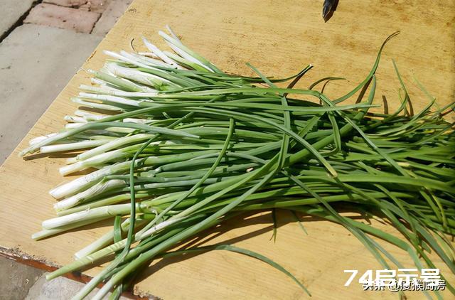 40种野菜图片大全，教你认识不同的野菜和吃法，你想要的野菜都有