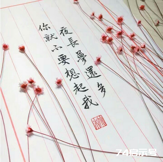 在时光中安稳，在文字中妥帖