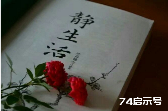 隐身烟火，不悲不喜