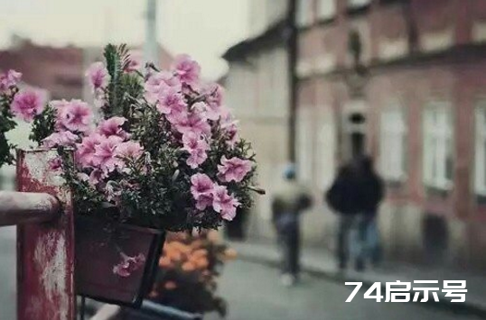 时光的变迁，生命的斑斓