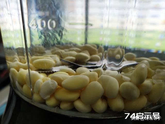 打豆浆时：用“湿豆和干豆”都不对，牢记这3点，豆浆浓香特好喝