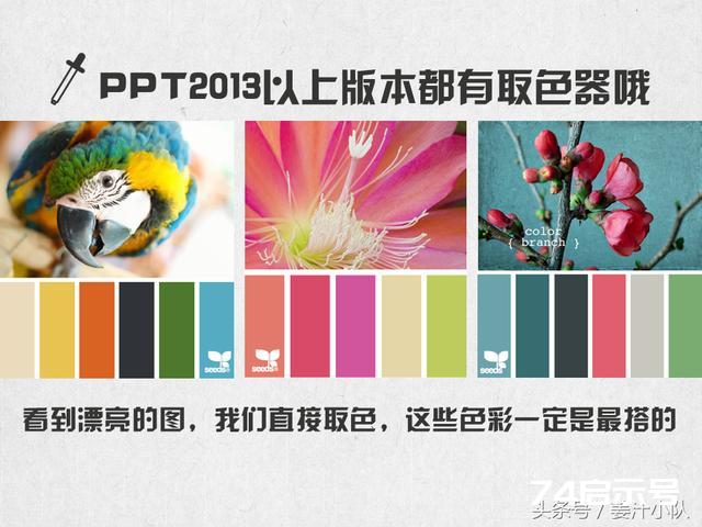 PPT万事屋-第七课-PPT配色粗解，这也许是最敷衍的PPT配色教程，只是有用而已