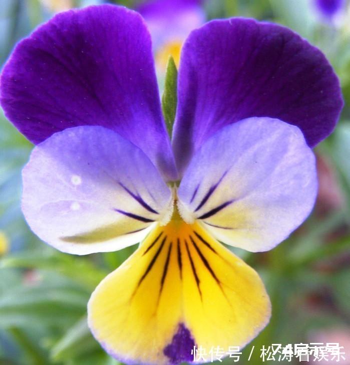 经典入心空间说说,句句有深意,读读醒悟人生 经典入心空间说说,句句有深意,读读醒悟人生