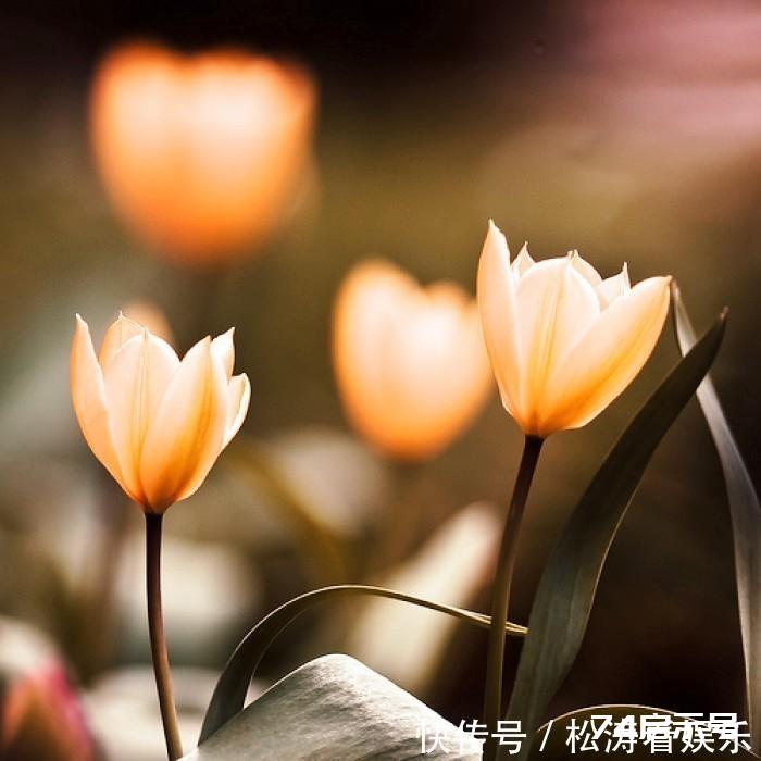 经典入心空间说说,句句有深意,读读醒悟人生 经典入心空间说说,句句有深意,读读醒悟人生