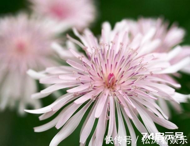 经典入心空间说说,句句有深意,读读醒悟人生 经典入心空间说说,句句有深意,读读醒悟人生