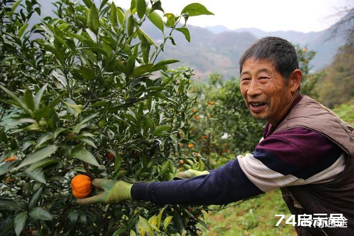 普通人如何建立多种收入来源？这五种方式，适合普通人！