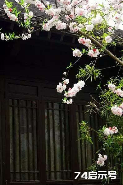 晚安心语：有生之年，只诉温暖不言殇，倾心相遇，安暖相陪