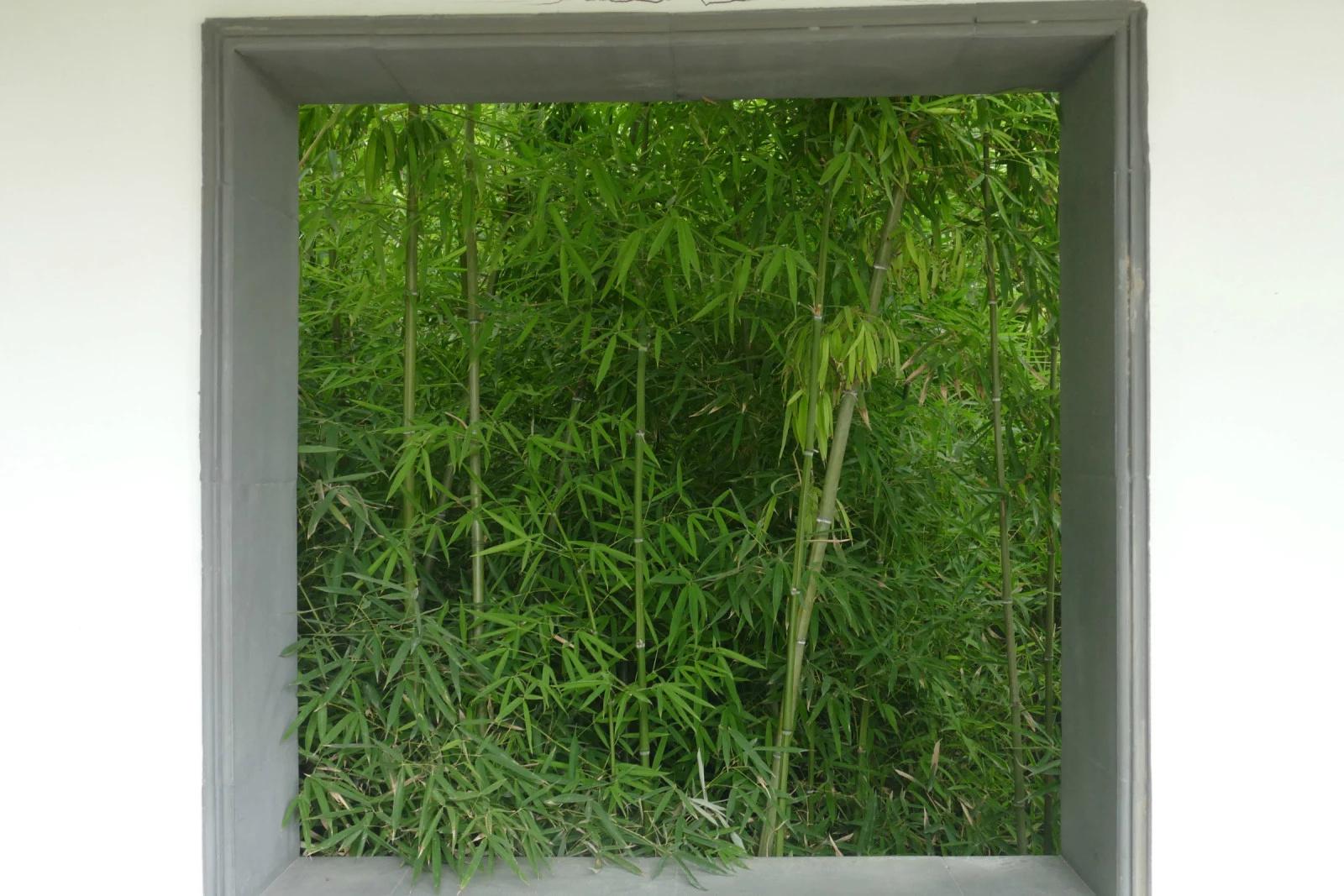 惊叹北京园博园“忆江南”的透视之美