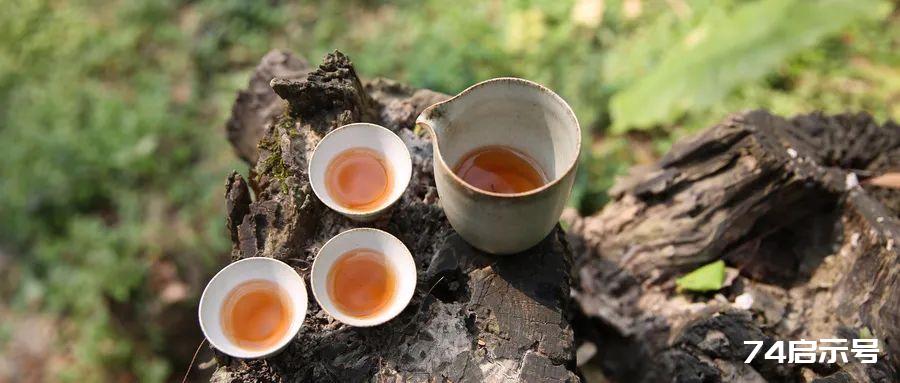 茶的六种喝法，你试过吗？