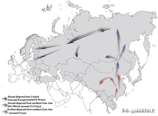 九千年前东北人的大迁徙如何改变欧亚大陆的历史？