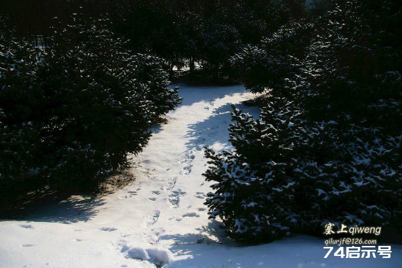 2012冬至前的那场雪