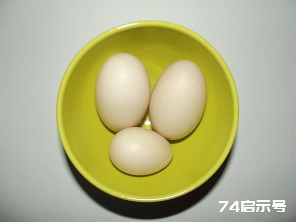 鸡蛋、鸭蛋、鹅蛋、鹌鹑蛋，营养差别这么大，不知道亏大了