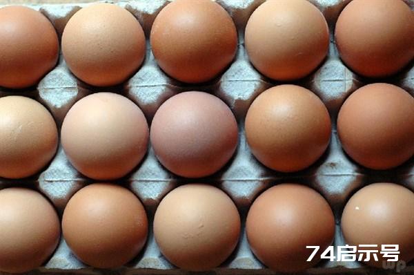 鸡蛋、鸭蛋、鹅蛋、鹌鹑蛋，营养差别这么大，不知道亏大了