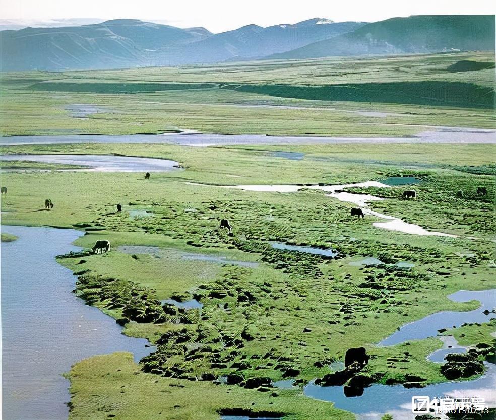 长白山天池每年8000万吨水来历不明，专家称来自青藏高原，咋来的