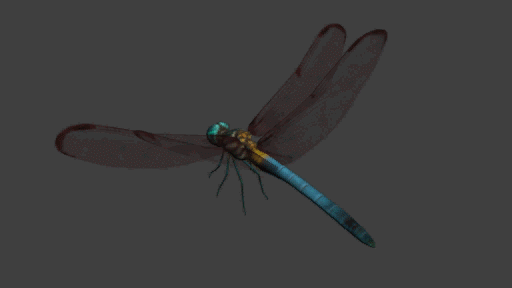 飞行界的王者：蜻蜓，科学家研究多年仍未完全搞清其奥秘