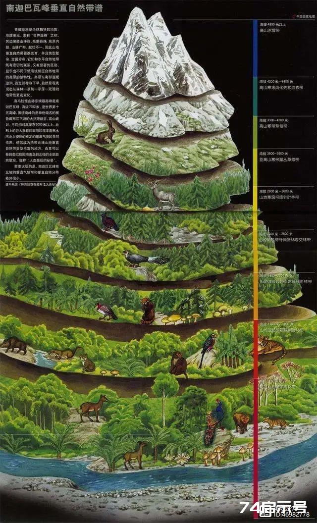 为什么雅鲁藏布江谷地的山麓植被，与同纬度地区有较大差异？