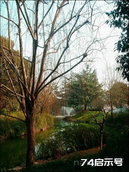 走遍上海之绿地篇：风景宜人的上海东郊宾馆（上）