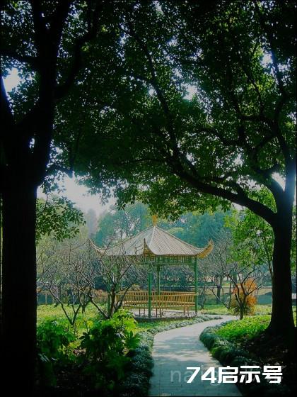 走遍上海之绿地篇：风景宜人的上海东郊宾馆（上）
