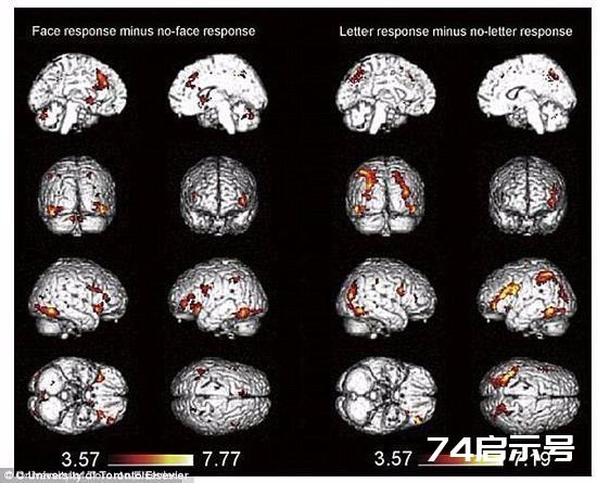 大脑如何调取记忆中的信息