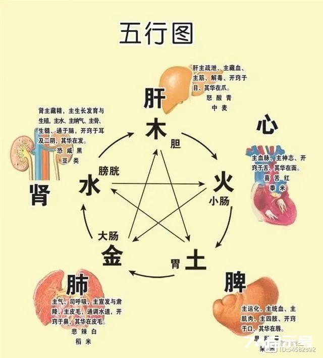 尹锋：中医学的理论基础——阴阳五行学说（六）