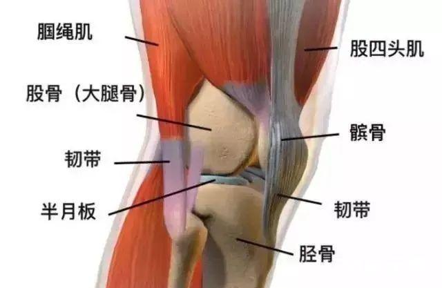 90%的膝关节疼痛都能在本文中找到答案