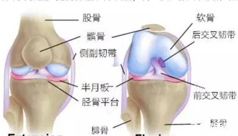 90%的膝关节疼痛都能在本文中找到答案