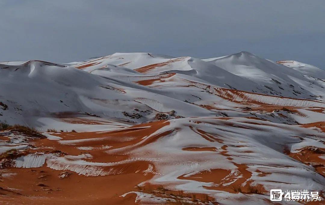 沙漠下雪，澳洲50度高温，南极巨型冰山融化！2022年地球怎么了？