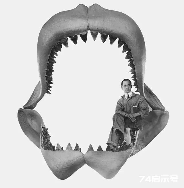 咬合力超18万牛顿，一生要换掉4万颗牙齿，史前巨齿鲨有多凶猛？