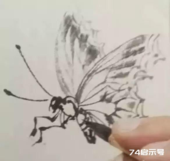 喜鹊与蝴蝶的写意画法