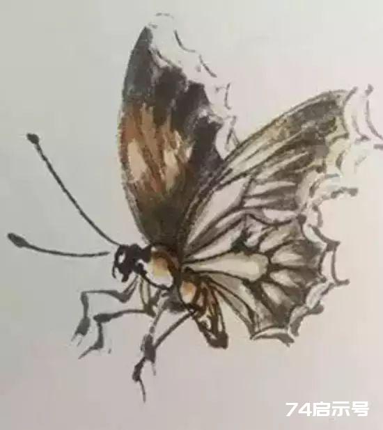 喜鹊与蝴蝶的写意画法