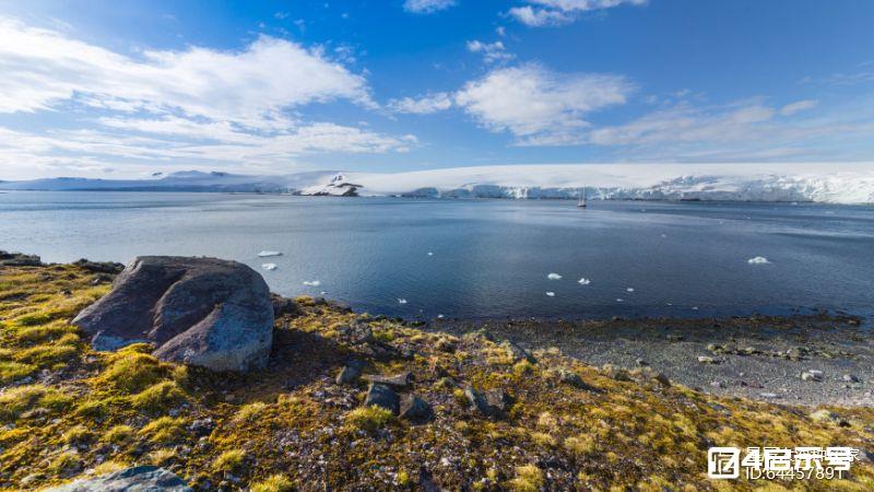 科学家：南极已长草开花！全球变暖究竟有多严重，到如此程度了？