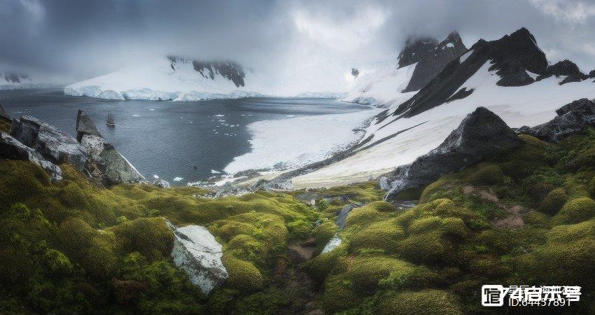 科学家：南极已长草开花！全球变暖究竟有多严重，到如此程度了？