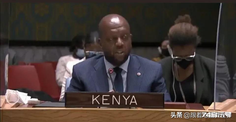 联合国安理会乌克兰问题特别会议，肯尼亚驻联合国大使马丁·基马尼，在安理会紧急会议上的发言：