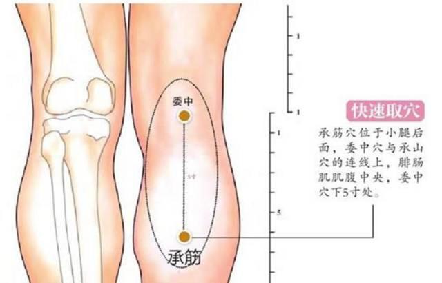 承筋穴——治疗“小腿抽筋、痔疮”特效穴