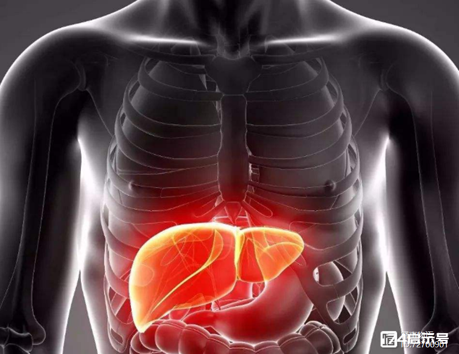 手放肝区调肝系统疾病——×形法疗效反馈（104）