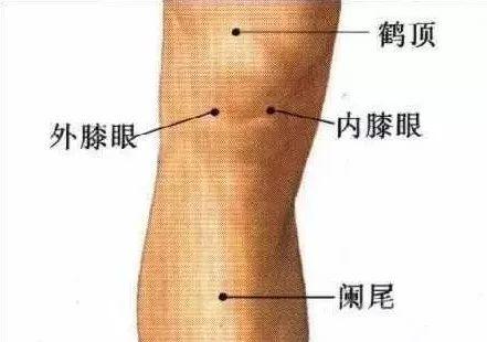 缓解膝关节疼痛的一个大开关，竟然在胳膊肘上，赶紧打开它！