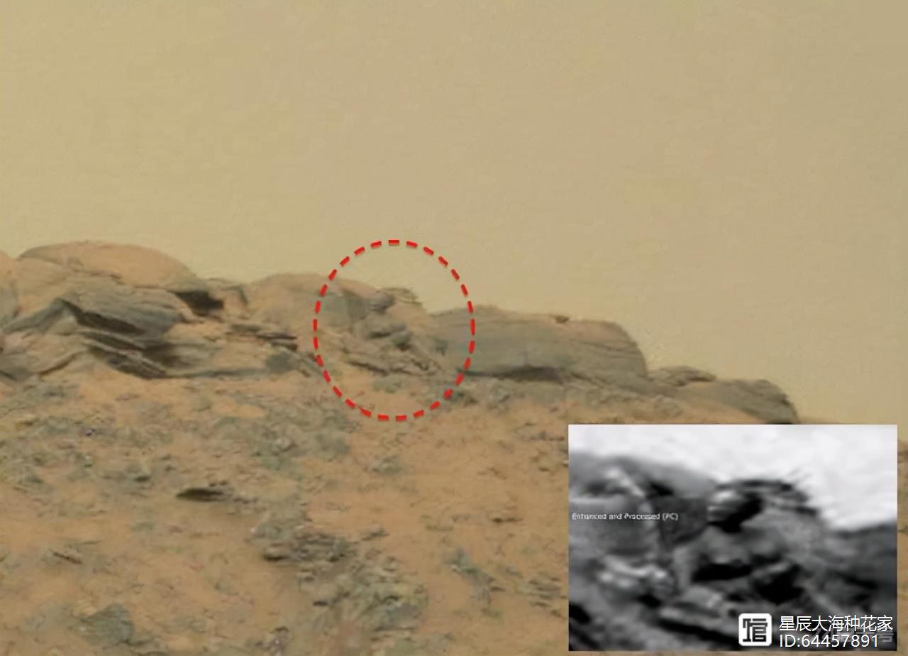 好奇号拍到“外星人的玩具”？毅力号：这才是火星上的人造物体