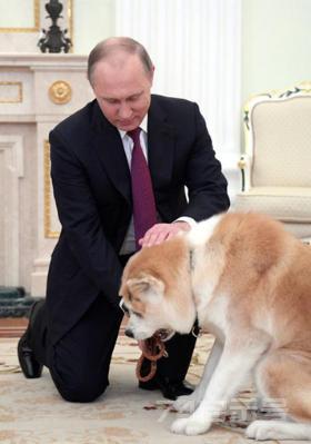 铁血硬汉也有柔情时：俄罗斯总统普京和他的5条爱狗，温馨又有爱