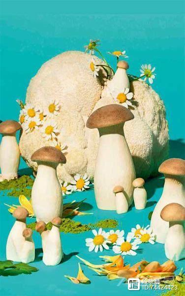 蘑菇能拯救世界吗？