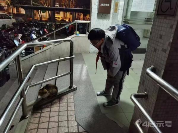 上海出现神秘“接力字条”： 我要回日本了，舍不得“毛孩子”……猫友的爱在流动