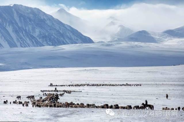 蒙古国“现状”，海军夏天运羊毛，冬天捕鱼，还有25个探秘冷知识