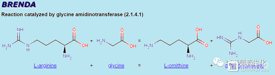 氨基酸衍生物代谢（二）